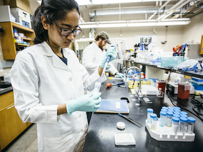 student working with test tube in lab