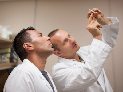 MSU student and professor looking at small sample on glass slide